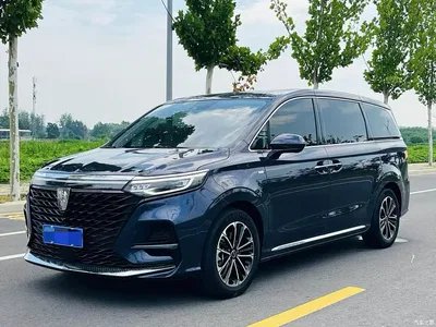 2021 Roewe iMAX8 400TGI Supreme Series Ultimate Edition, фото 1, лот 10478624