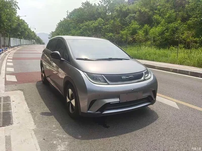 2023 BYD Dolphin 420km Freedom Edition, фото 3, лот 11548943