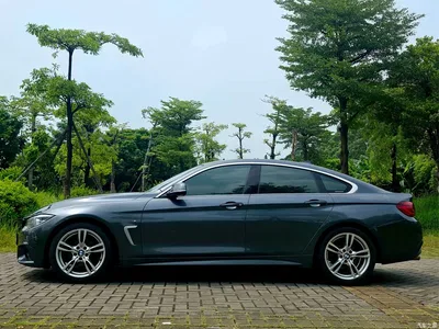 2019 BMW 4 Series 425i Gran Coupe M Sport Package, фото 4, лот 11136612