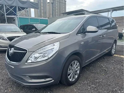 2017 Buick GL8 25S Premium Model China V, фото 1, лот 10256836