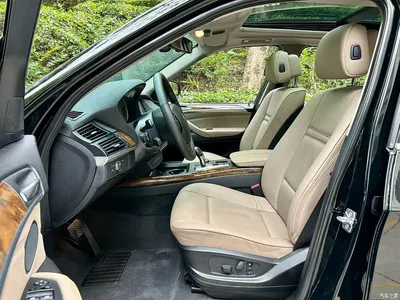 2009 BMW X5 (Import) xDrive30i Leading, фото 3, лот 10429452