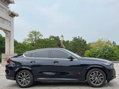 2023 BMW X6 xDrive30i M Sport Package, фото 4, лот 10404223