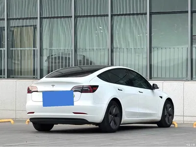 2021 Tesla Model 3 Standard Range Rear-Wheel Drive Upgrade 3D6, фото 3, лот 10368941