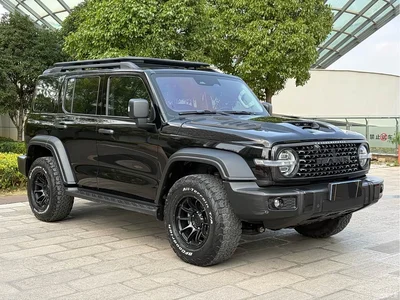 2021 Tank 300 Off-road Version 2.0T Conqueror, фото 3, лот 10449923