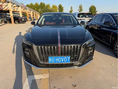 2025 Hongqi H5 2.0T Automatic Flag Celebration 500,000 Units Anniversary Edition, фото 2, лот 11586126