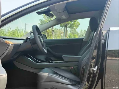 2020 Tesla Model 3 Standard Range Rear-Wheel Drive Upgrade, фото 4, лот 10401294