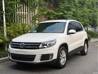 2013 Volkswagen Tiguan 1.8TSI Auto 2WD Trend Edition, фото 1, лот 10418498