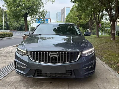 2021 Geely Xing Rui 2.0TD Premium, фото 2, лот 10362082