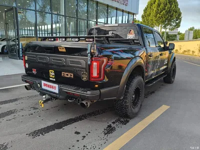 2019 Ford F-150 Raptor 3.5T Raptor Performance Enhanced Edition, фото 4, лот 10413940