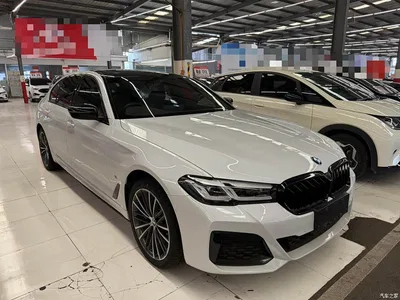 2022 BMW 5 Series 530Li Leading M Sport Package, фото 3, лот 11212487