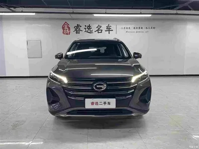 2023 GAC Trumpchi Trumpchi GS4 270T Auto Smart Pilot Edition, фото 2, лот 10414891