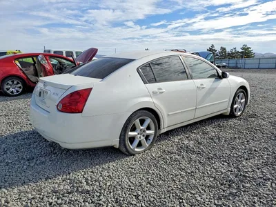 2009 NISSAN MAXIMA 3.5 S, фото 3, лот 10745090