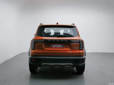 2021 Haval Big Dog 1.5T DCT 2WD Border Collie Edition, фото 4, лот 11137611