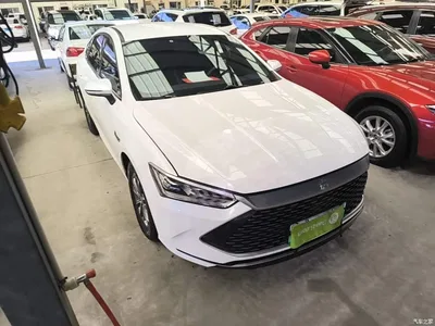 2023 BYD Qin PLUS Champion Edition DM-i 55KM Leading, фото 4, лот 10362819