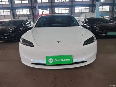 2025 Tesla Model 3 Model Rear-Wheel Drive Edition, фото 3, лот 10370341