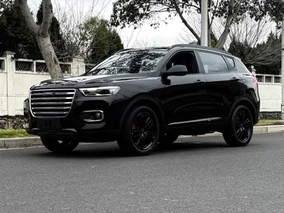 2020 Haval H6 2.0GDIT Automatic GT Champion Edition, фото 1, лот 10299940