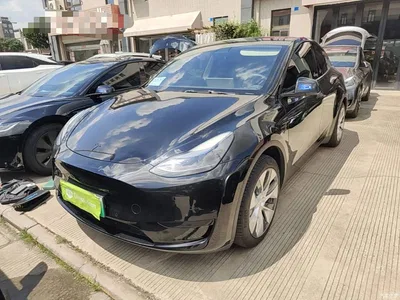 2022 Tesla Model Y Facelift Rear-Wheel Drive Version, фото 1, лот 10369702
