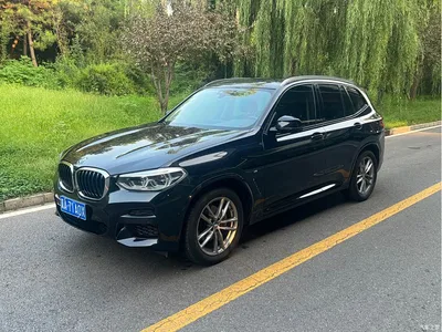 2019 BMW X3 xDrive25i M Sport Package, фото 1, лот 10460921