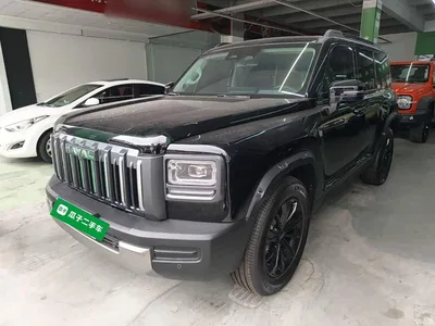 2025 Haval Menglong 2.0T 4WD Ultra, фото 1, лот 11220419