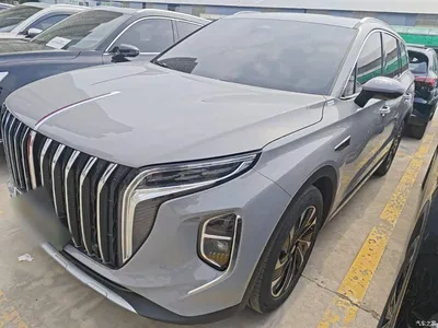2024 Hongqi HS7 PHEV 2.0T PHEV AWD Flagship 6-Seater, фото 1, лот 10289501