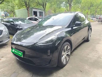 2022 Tesla Model Y Facelift Rear-Wheel Drive Version, фото 1, лот 11226165