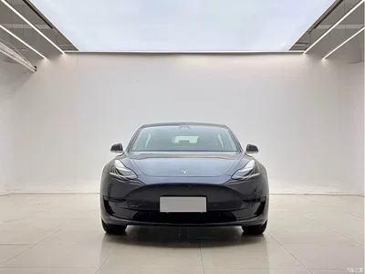 2020 Tesla Model 3 Standard Range Rear-Wheel Drive Upgrade, фото 2, лот 11215508
