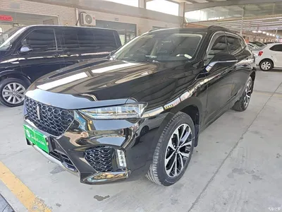 2017 WEY VV7 2.0T Super Luxury, фото 1, лот 10388294