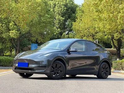 2023 Tesla Model Y Rear-Wheel Drive Edition, фото 1, лот 10444665