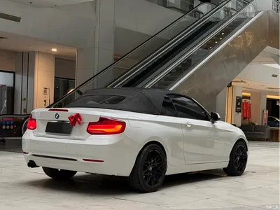 2019 BMW 2 Series (Import) 225i Convertible Coupe Sport Design Package, фото 4, лот 10471340