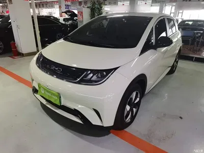 2024 BYD Dolphin Glory Edition 420km Freedom Edition, фото 1, лот 11244051