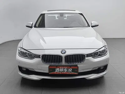 2019 BMW 3 Series 320Li Fashion Type, фото 3, лот 11192005