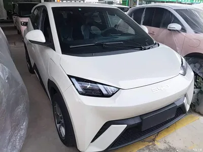 2024 BYD Seagull Glory Edition 305km Vitality Edition, фото 4, лот 10390696