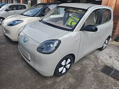 2025 Wuling Motors Hongguang MINIEV 4-Door Advanced, фото 1, лот 10371125