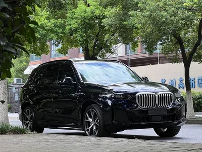 2023 BMW X5 xDrive 30Li Premium M Sport Black Night Package, фото 3, лот 11540854