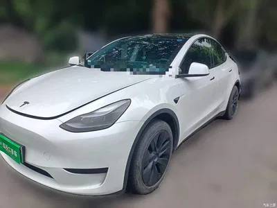 2024 Tesla Model Y Rear-Wheel Drive Version, фото 1, лот 10370750