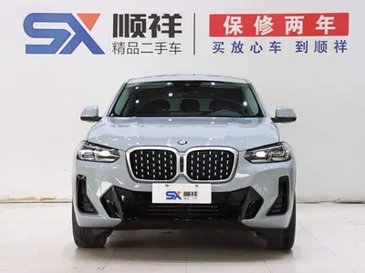 2022 BMW X4 xDrive 30i M Sport Package, фото 2, лот 10232304