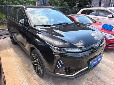 2020 Weltmeister EX6 Plus First Founder Edition, фото 3, лот 11241071