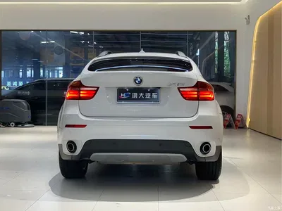 2013 BMW X6 xDrive35i, фото 4, лот 10469367