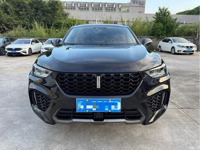 2017 WEY VV5 2.0T Flagship Model, фото 2, лот 10451921