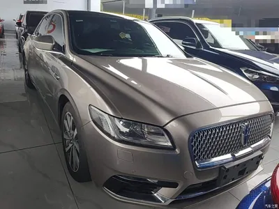 2019 Lincoln Continental 2.0T 2WD Zunxiang Edition China VI, фото 3, лот 10439969