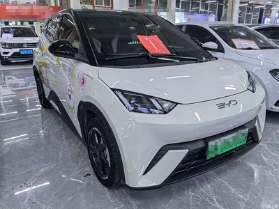2024 BYD Seagull Glory Edition 305km Freedom Edition, фото 3, лот 10249965