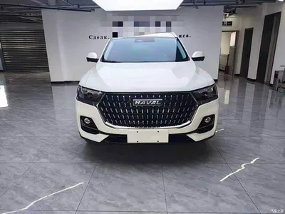 2023 Haval H6 National Trend Edition 1.5T Automatic Champion, фото 2, лот 10283015