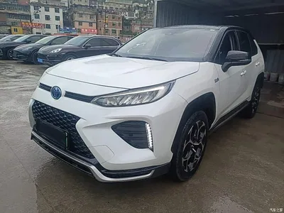 2021 Toyota Wildlander New Energy High Performance Edition 2.5L AWD Power Version, фото 1, лот 10384795
