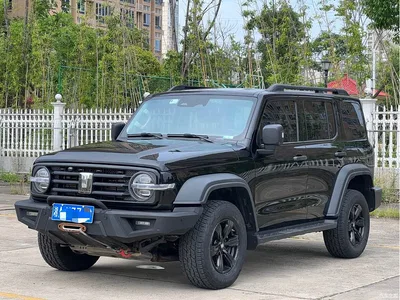2021 Tank 300 Off-road Version 2.0T Conqueror, фото 1, лот 10344316