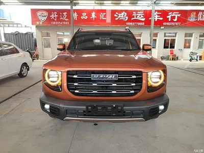 2021 Haval Big Dog 1.5T DCT 2WD Labrador Edition, фото 3, лот 10361304