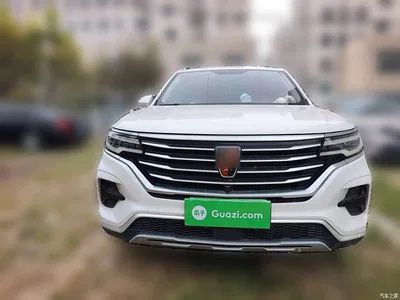 2019 Roewe RX5 MAX 300TGI Automatic 4G Connected Luxury Edition, фото 2, лот 11197198