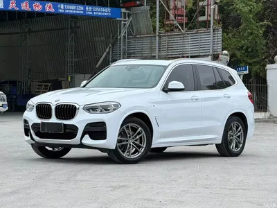 2020 BMW X3 xDrive25i M Sport Package, фото 1, лот 11132115