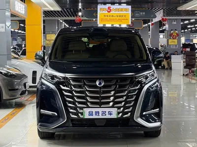 2025 Denza D9 DM-i Smart Drive Edition 1020 AWD Premium, фото 2, лот 10351023