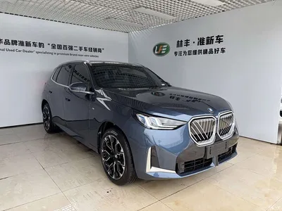 2025 BMW X3 xDrive30L Premium M Sport Package, фото 3, лот 10460610