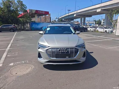 2021 Audi e-tron 50 quattro Exclusive Selection, фото 2, лот 11206254